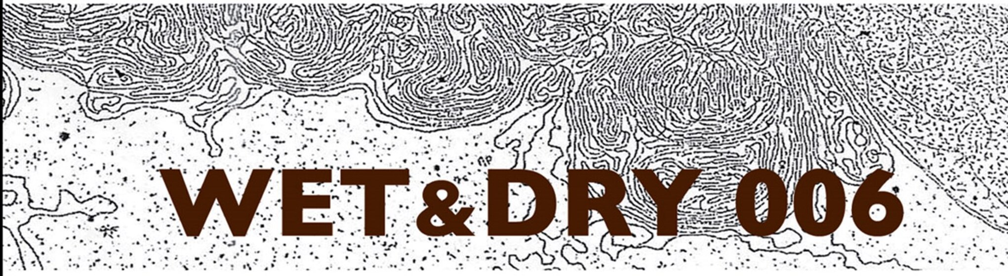A printed poster with fine line drawing swirls in the background, and the text 'Wet & Dry 006'.