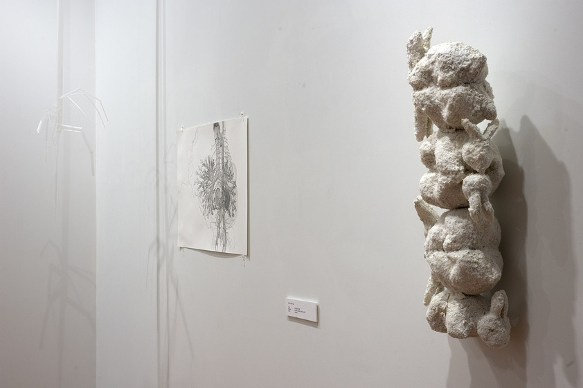 Two pieces of artwork attached to the wall, one an ink drawing on a white piece of paper, and one a small sculpture made of foam and salt, shaped like a pile of rabbits on top of each other.