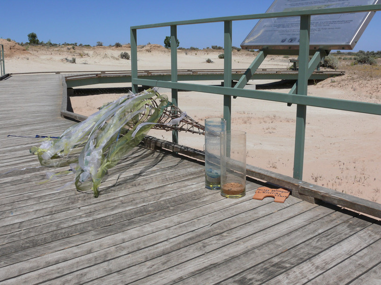 A wooden boardwalk on a sandy beach, holding four glass vessels, each containing water and some other substance, such as sand, dirt and clothing. Next to the vessels is a wire mesh object with blue and yellow cellophane strips attached. Attached to the boardwalk is an information panel.