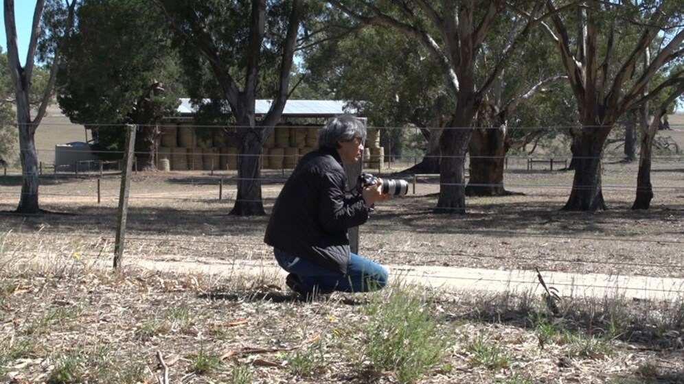 A man kneels on the ground, on dry grass and leaves. He is holding a camera half way up his body, focused on something in the distance. Behind him is a wire fence, gum trees and further away a large hay shed.