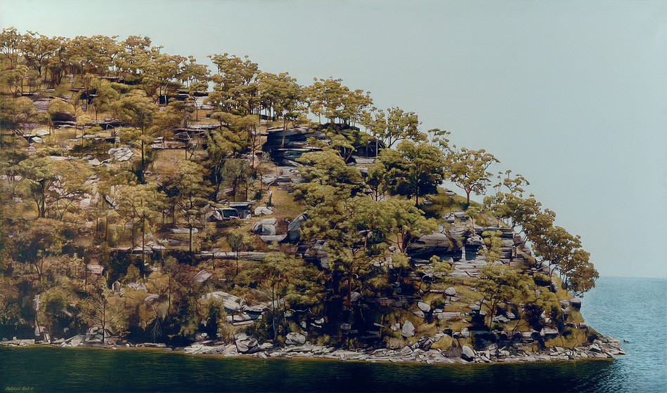 Detailed realist image of a tree-covered promontory.