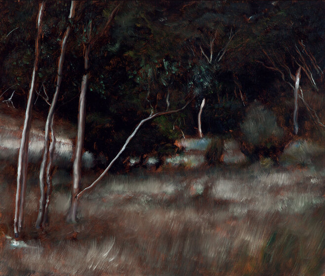 Nightime landscape, indications of trees and stubble.