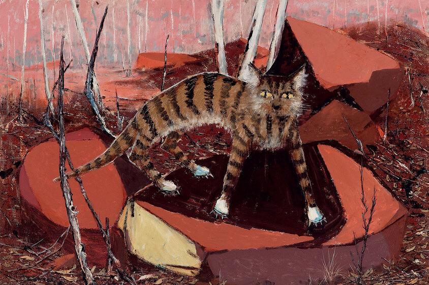 A tabby cat stands on orange rocks in a sparse landscape.