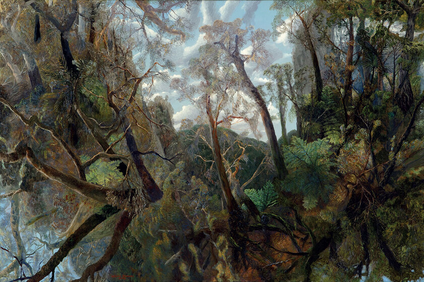 Aerial view of a forest, combining multiple perspectives.