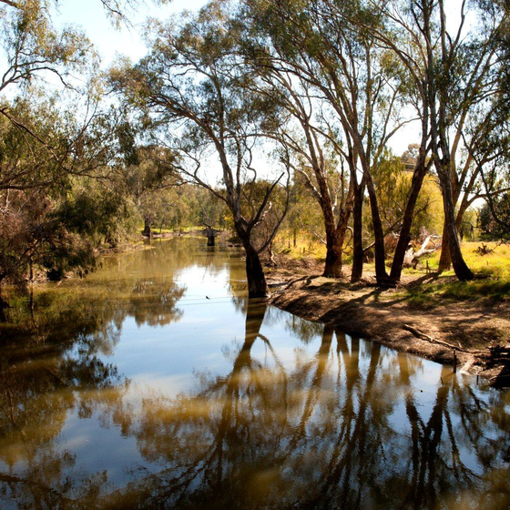 River with gum trees on each bank, casting a reflection onto still water.
