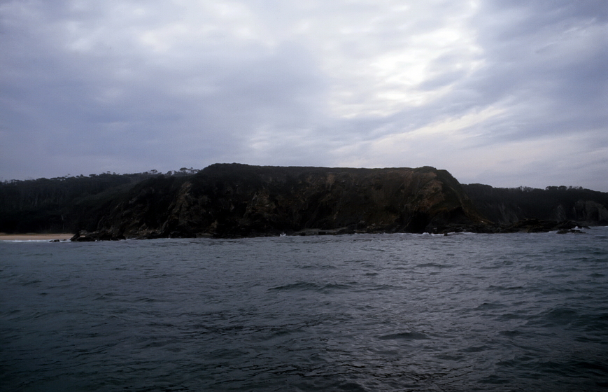 Landscape photograph of a rocky tree lined bay, with the ocean in the foreground.