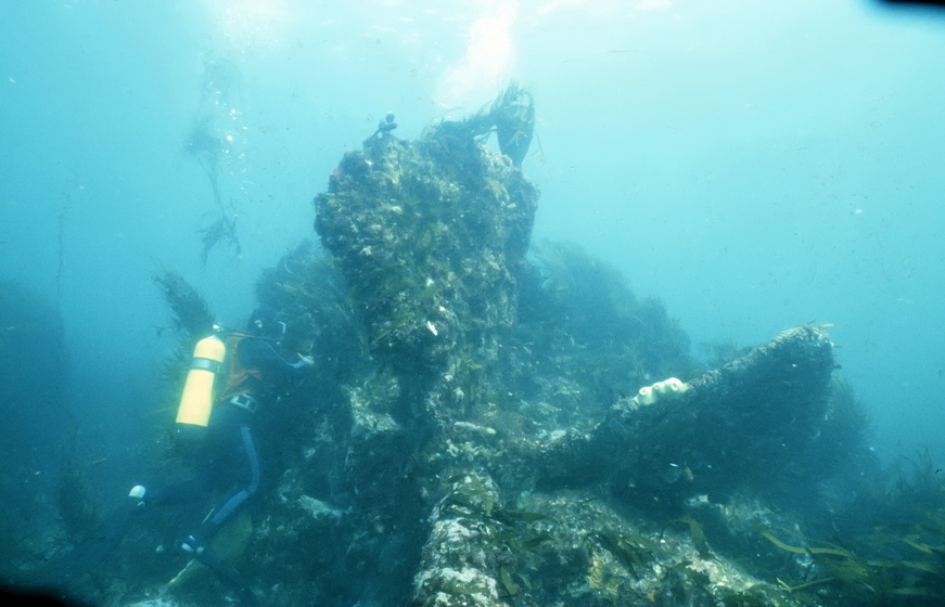 A diver with a large yellow tank on their back swims very close to a propeller sitting on the ocean floor. It is covered in plant matter and barnacles.