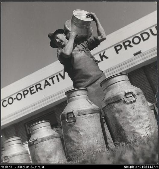 A man viewed from ground level carrying a large metal milk can on his shoulder. Four milk cans sit on the ground in front of him. Behind is a building with the words 'Co-operative milk products' on the side.