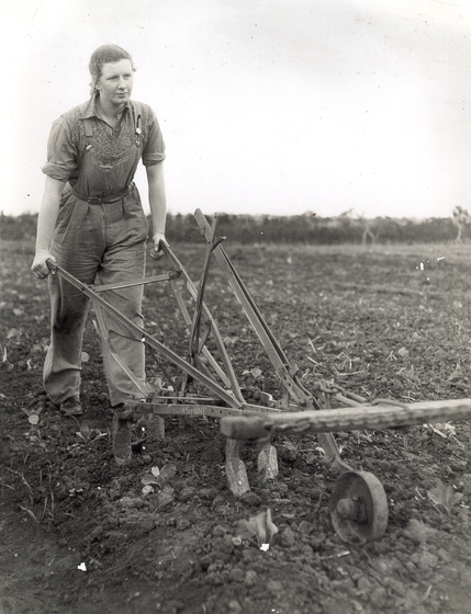 Young woman in overalls pushing a hand plough in a field. 