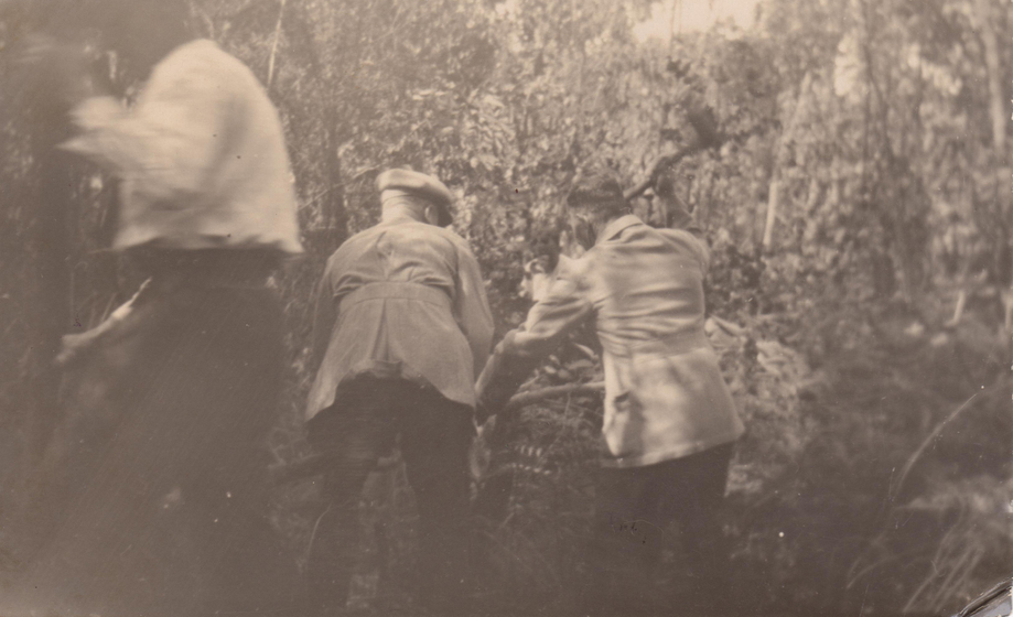 A blurry image of three men viewed from behind wearing coats and trousers, carrying materials into bushland.