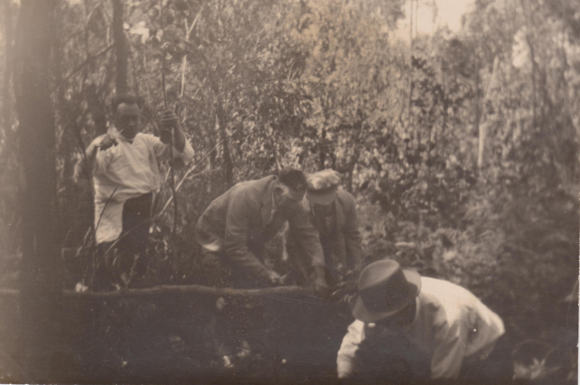 Blurry image of four men in bush land. One is standing while three bend down over a branch. 
