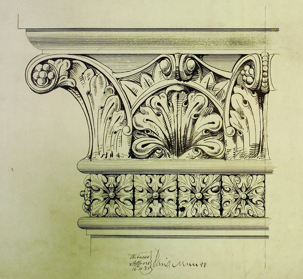 Ink drawing of the detail of the top of a Corinthian style column, showing leaf motif and ornate details.