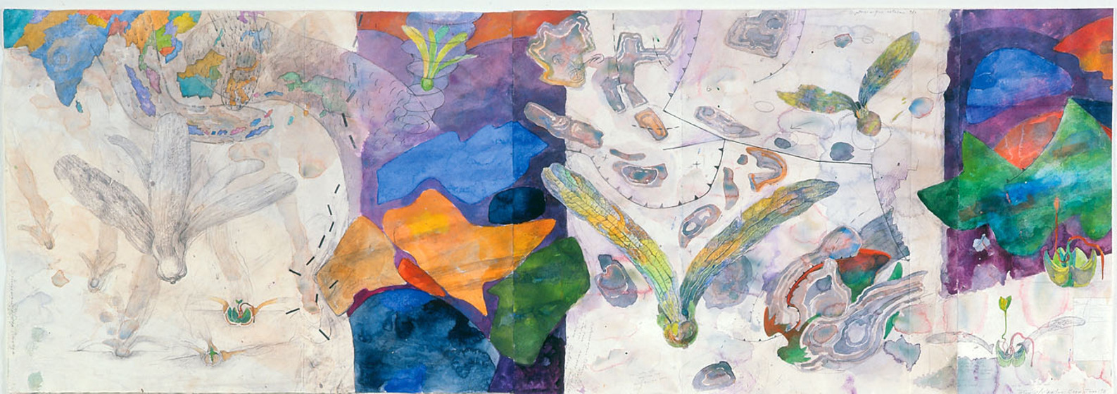 Drawing in colour and black and white, featuring abstract shapes and imagery similar to seeds and plants. Prominent colours are orange, blue, purple and green.