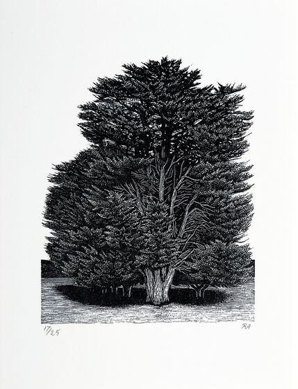 Black and white print of a large tree