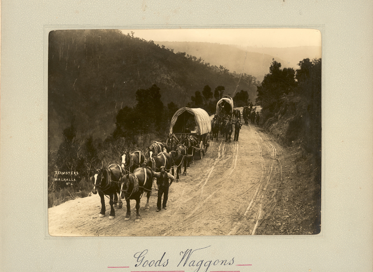 Black and white photograph of two wagons pulled by horses along a dirt road, tree-covered hills are behind. In the foreground a man stands next to the lead horses of the first wagon. Text on the surrounding photo mount reads 'Goods Waggons''. 