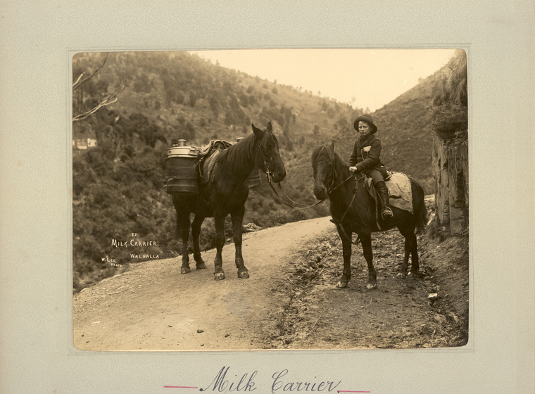Black and white photograph of two horses standing on a dirt road, with tree-lined hills behind. The horse on the right is ridden by a young boy. The forst on the left carries over its back a tin barrel hung to the side. The mount board surrounding the photograph features text, 'milk carrier'. 