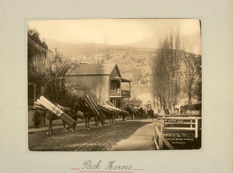 Black and white landscape photograph of a dirt road running in front of houses. Walking down the road is a row of horses each carrying a bundle of timber. Text on the surrounding photo mount reads 'Pack Horses"