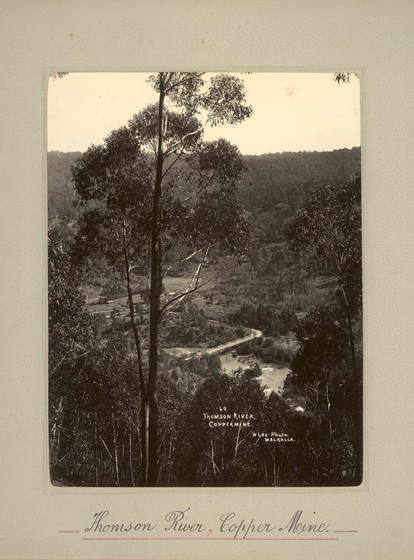 Black and white portrait photograph of gum trees with a shallow gully behind, showing a river running through with a bridge crossing. Text on the surrounding photo mount reads 'Thomson River, Copper mine'