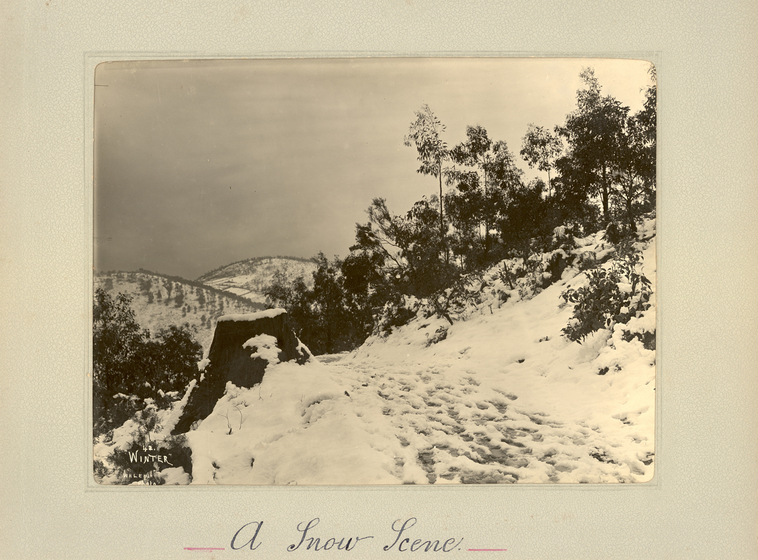Black and white landscape photograph of snow covered trees and ground, with footsteps seen in the snow. Text on the surrounding mount board reads "A Snow Scene".