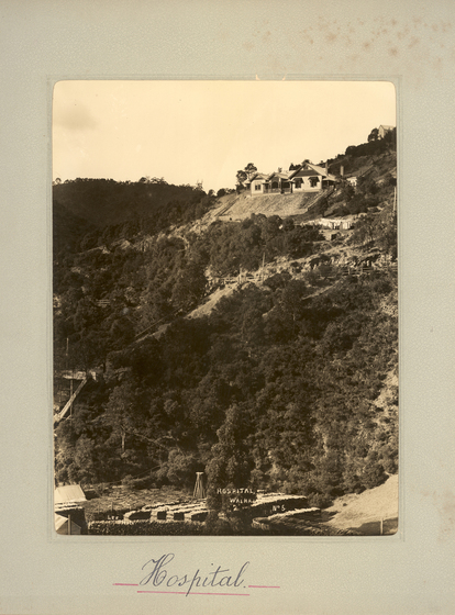 Black and white portrait photograph of a house on the top of a tree-covered hillside. At the base of the hill are some small buildings. Text on the surrounding mount board reads 'hospital'.
