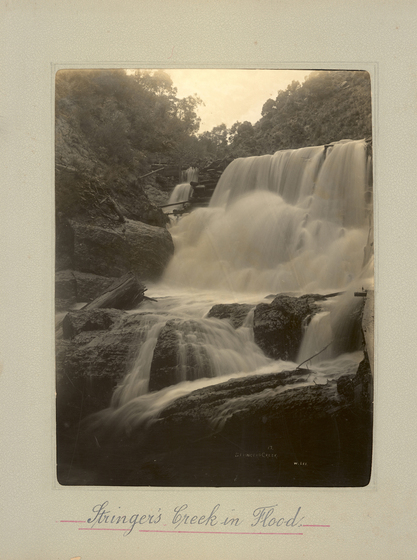 Black and white portrait photograph of a waterfall, cascading down large rocks. Trees are in the background. Text on the surrounding mount board reads 'Stringer's Creek in Flood'.