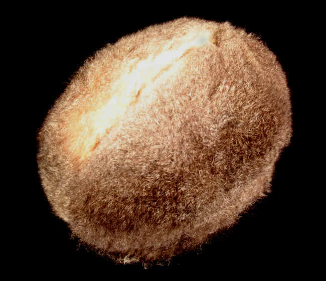 Oval shaped ball made of possum skin.