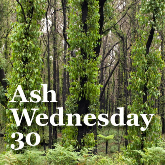 Three green leaf covered tree trunks with ferns at their base, and forest behind. Across the trees is white text reading 'Ash Wednesday 30'