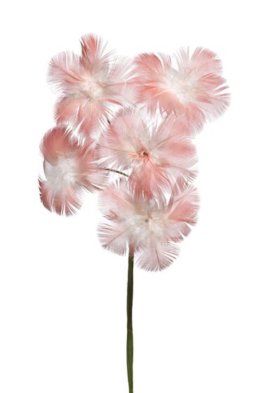 Single posy of small flowers made from pink and white feathers.