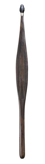Spearthrower made from dark wood, carved in a long thin shape which is wider in the middle. At the top is a small hole in the wood, above which is a oval bulbed shape. Across the surface is a pattern of lined notches in the wood.