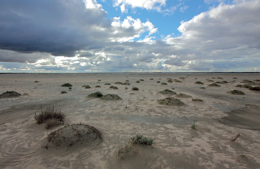 expansive marshlands stretching to the horizon