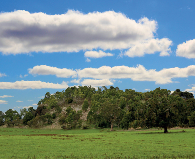 grassy field with small hill covered in scrub