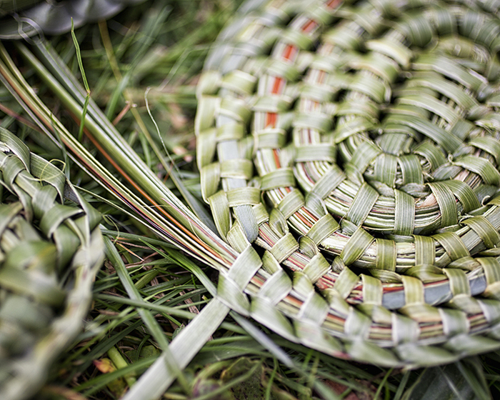 Coiled and woven green and brown plant reeds, forming the beginning of a woven item.